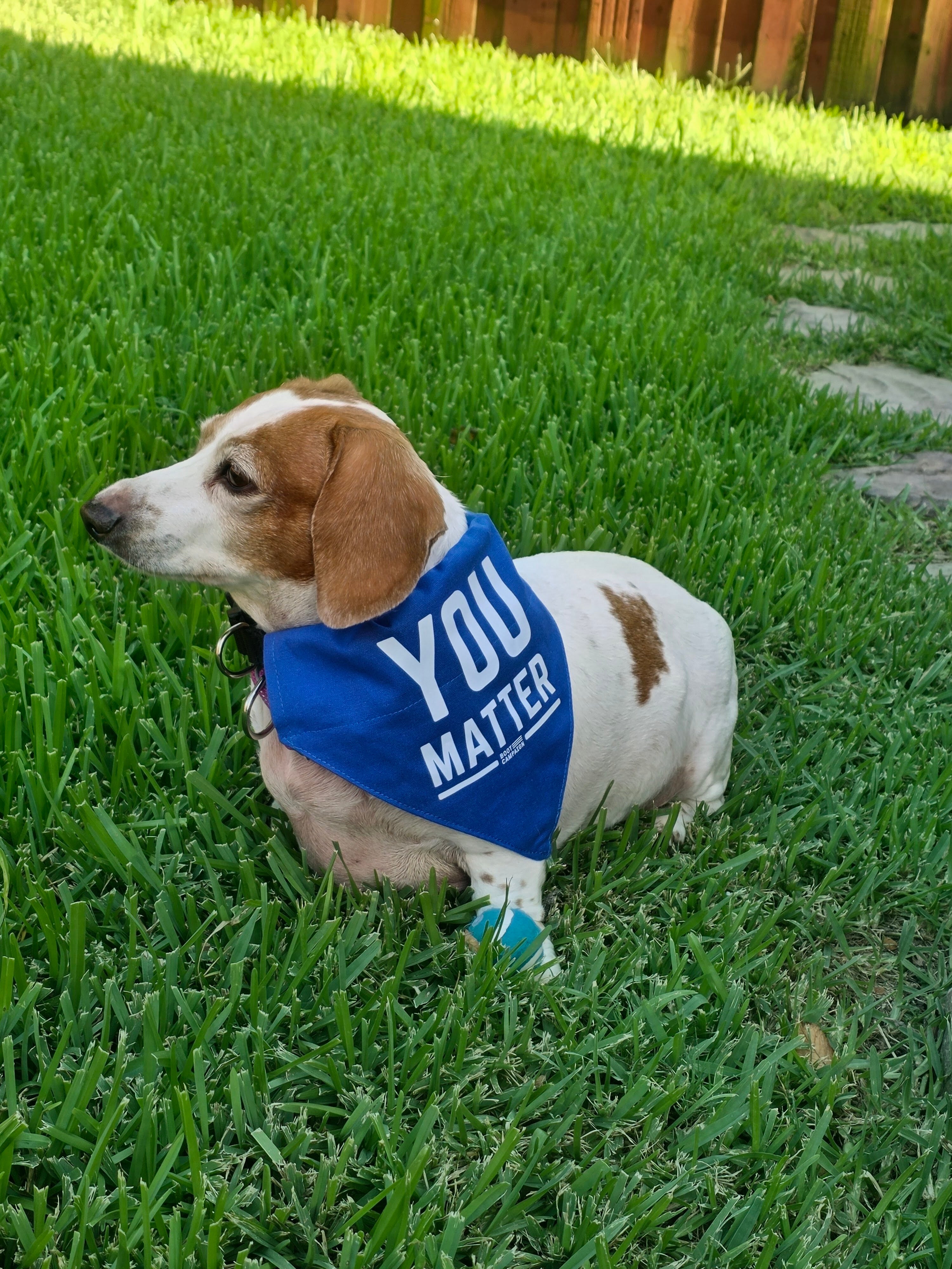 YOU MATTER Pet Bandana