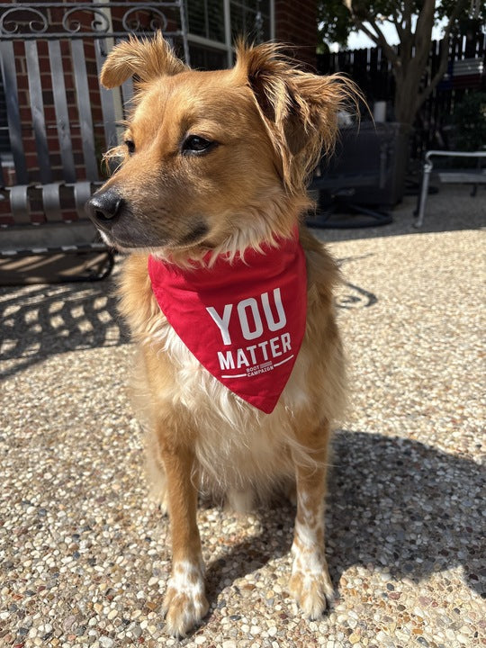 YOU MATTER Pet Bandana